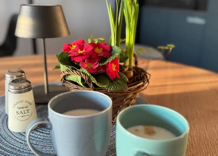 City Inn Schwedt بيت ضيافة شفيدت