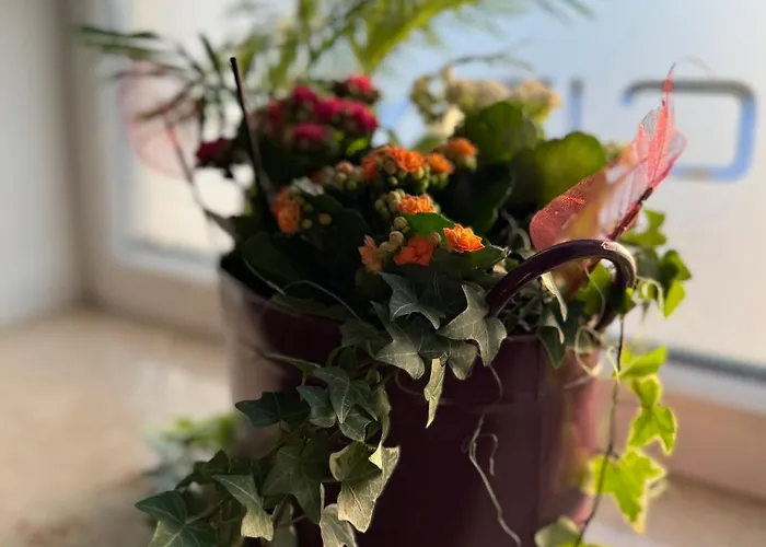 بيت ضيافة City Inn Schwedt 3*